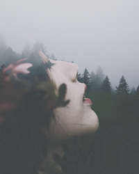 Wilder Poetry profile picture