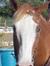 Kay Mares