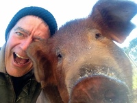 William Guerrant profile picture