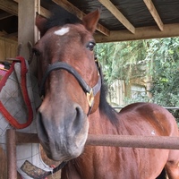 Tracey Jane Jackson profile picture