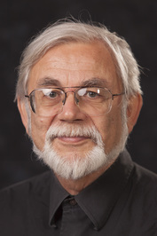Danilo Udovički-Selb