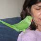 Linda  Levitt profile picture