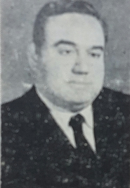 ضياء الدين الريس