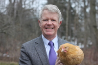 Tim Calkins profile picture