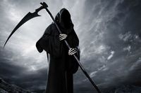 Lee  Harding profile picture