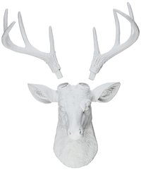 Γιώργος Τσιόγγας