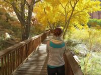 Robin Warnars-Geerlings