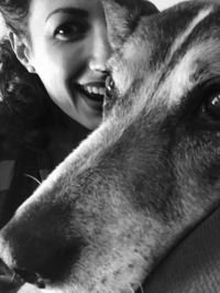 Stephanie  Campisi profile picture