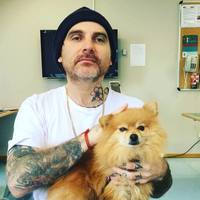 Dominic Hoey profile picture