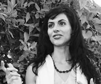 Ari Honarvar profile picture