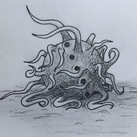 Sara Allyn profile picture