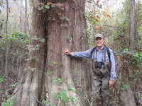 Charles            Williams profile picture