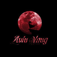 Avin Vang
