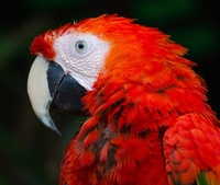 Cate East profile picture