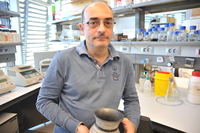 Carles Lalueza-Fox profile picture