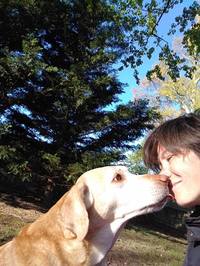 Sarah Warden profile picture