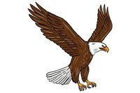 Rodolfo Martin Vitangcol profile picture