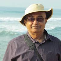Pradip Kumar Biswas