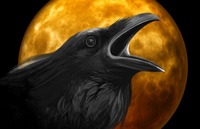 Michelle Scott profile picture