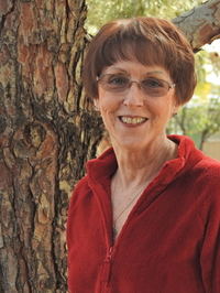 Suzanne Floyd profile picture