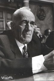 Mihailo Lalić profile picture