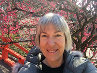 Denise  Stephens profile picture