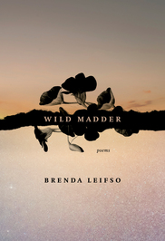 Brenda Leifso