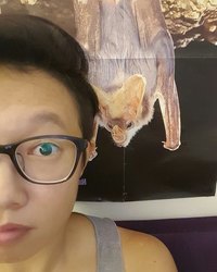 Stephanie  Chan