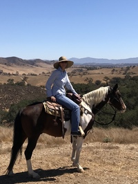 Diana  Stone profile picture