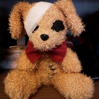 Tomonori Inoue profile picture