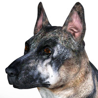 William R. Rohn profile picture