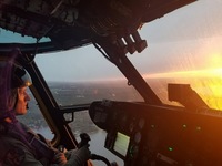 Shawn Tracy Robinson