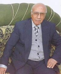 محمد ضارى حمادي