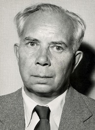 Ivar Lo-Johansson profile picture