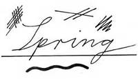 The Spring Collective profile picture