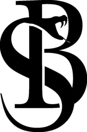 Simona Busto profile picture