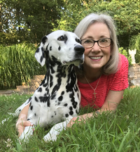 Connie Bombaci profile picture