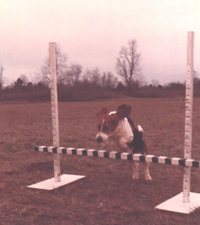 Patricia Grigg