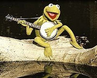 Tim McCabe profile picture