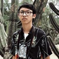 Hanif Sulthoni