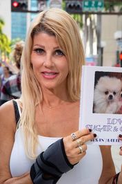 Susan Marie Chapman profile picture