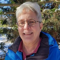Wendy Haylett