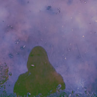 מיכאל גלנצר