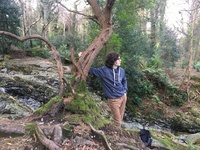 Dara McAnulty profile picture