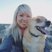 Van Hoang profile picture