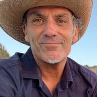 Stephen Kinnane profile picture
