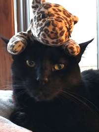 Chad Waller profile picture