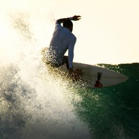 Liam Carroll profile picture