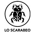 Lo Scarabeo profile picture