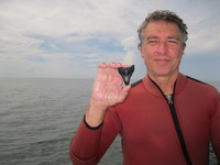 Steven Danforth Singer